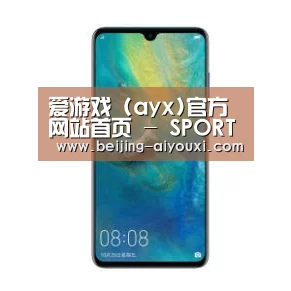 华为无线快充手机