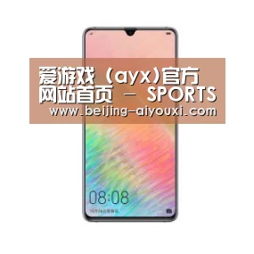 华为HUAWEI NOTE 8