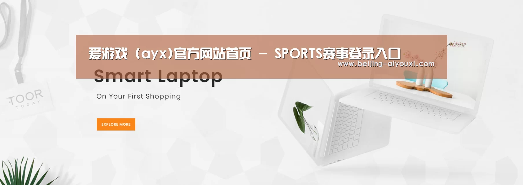 某某网络科技有限公司