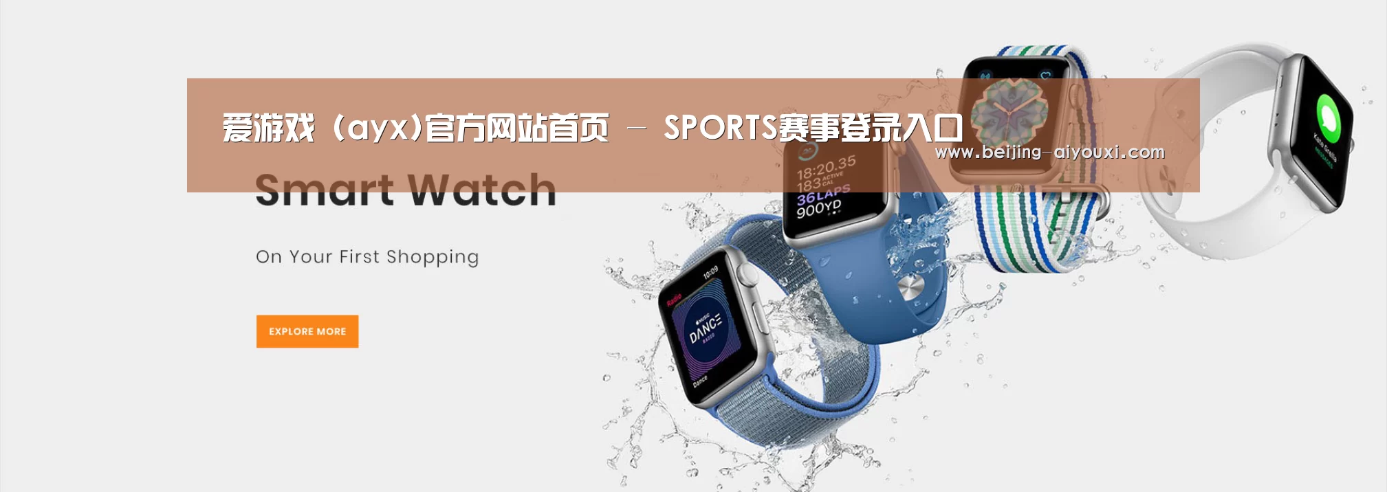 某某网络科技有限公司